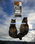Kittens and hamster