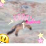 →Cora’s Approval←