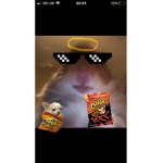 FAZE HAMPSTER GANG