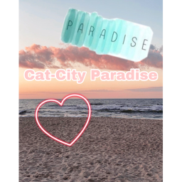 City Paradise