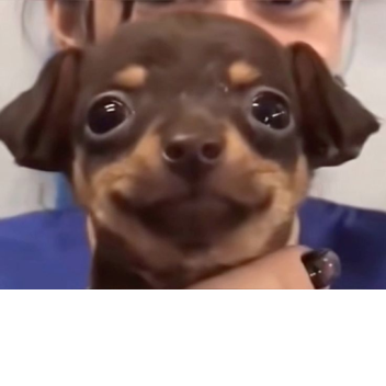 sss