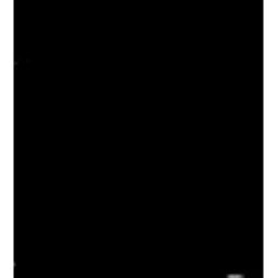 The Search icon