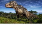 ctop the FPS trex