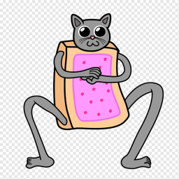 Meme cat runner