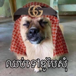 Ra Amm