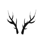 Noir Antlers