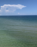 ocean vibe!