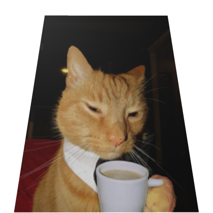 Polyester Cat serio meme cape Roblox item