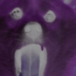 symbol