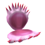 Pink Venus Fly Trap