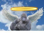 HARAMBE IS OUR GOD