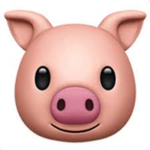 The Pigs! :)