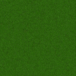 grass