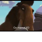 Mammoths.
