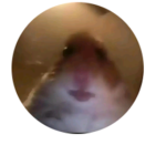 slender_only