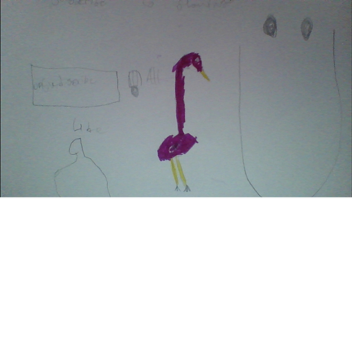 Flamingo goes to the village