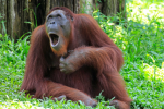 Group Chat for "Cool People"