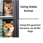 M e m e ?