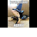 Wizard Lizard