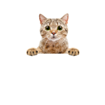 Cat commanders