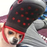 pacos de corazon :u