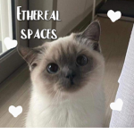 Ethereal Spaces