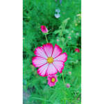 이.벤.트.러벅