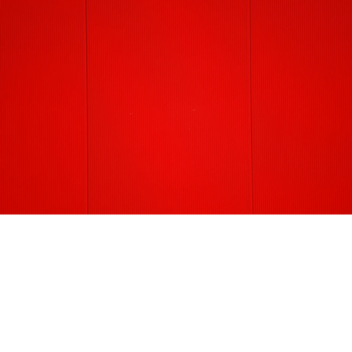 SURVIVAL THE KILLERS THE KILLER