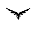 Birdy Birdy