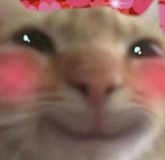 .. L.eee