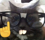 KITTYKITTYCATS