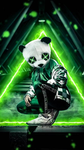 panda cool dude