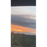 •ᴛɪᴀʀᴀ##########