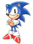 The Official Sonic Fan Club