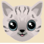 JoyxCat Club!