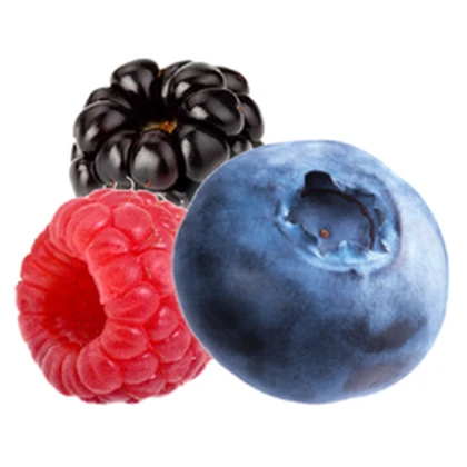 The Berry Trilogy Roblox group icon