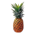 The Mr Pineapple talk show