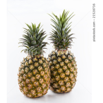 The Pineapple Brothers
