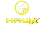 H.A.W.X squardon