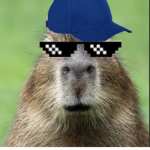 Cap Capybara