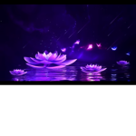 Relaxing Butterflies