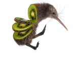 Kiwi fan club (not a cult)