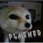 多p l a s m e d
