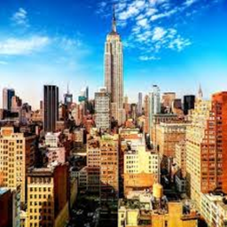 Modern city