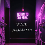 N͓̽T͓̽S͓̽H͓̽ ͓̽V͓̽i͓̽b͓̽e͓̽ ͓̽A͓̽e͓̽s͓̽t͓̽h͓̽e͓̽t̽