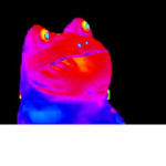 xXS####