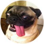 gotnoboux