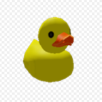 dumb bloxers group