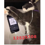 !V0mp!