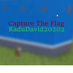 Capture The Flag icon